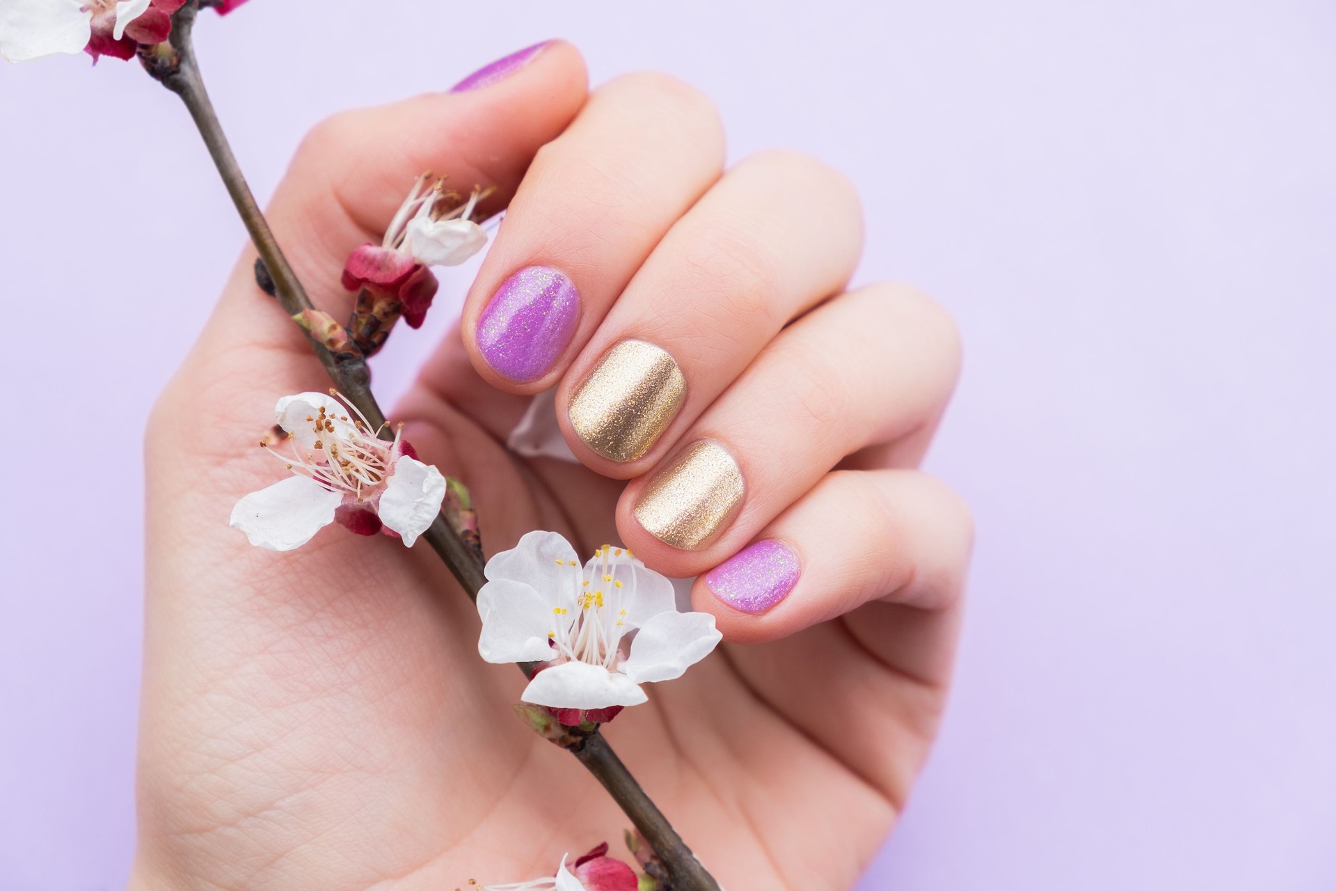Female hand with gold and purple nail design holding blossom cherry branch.